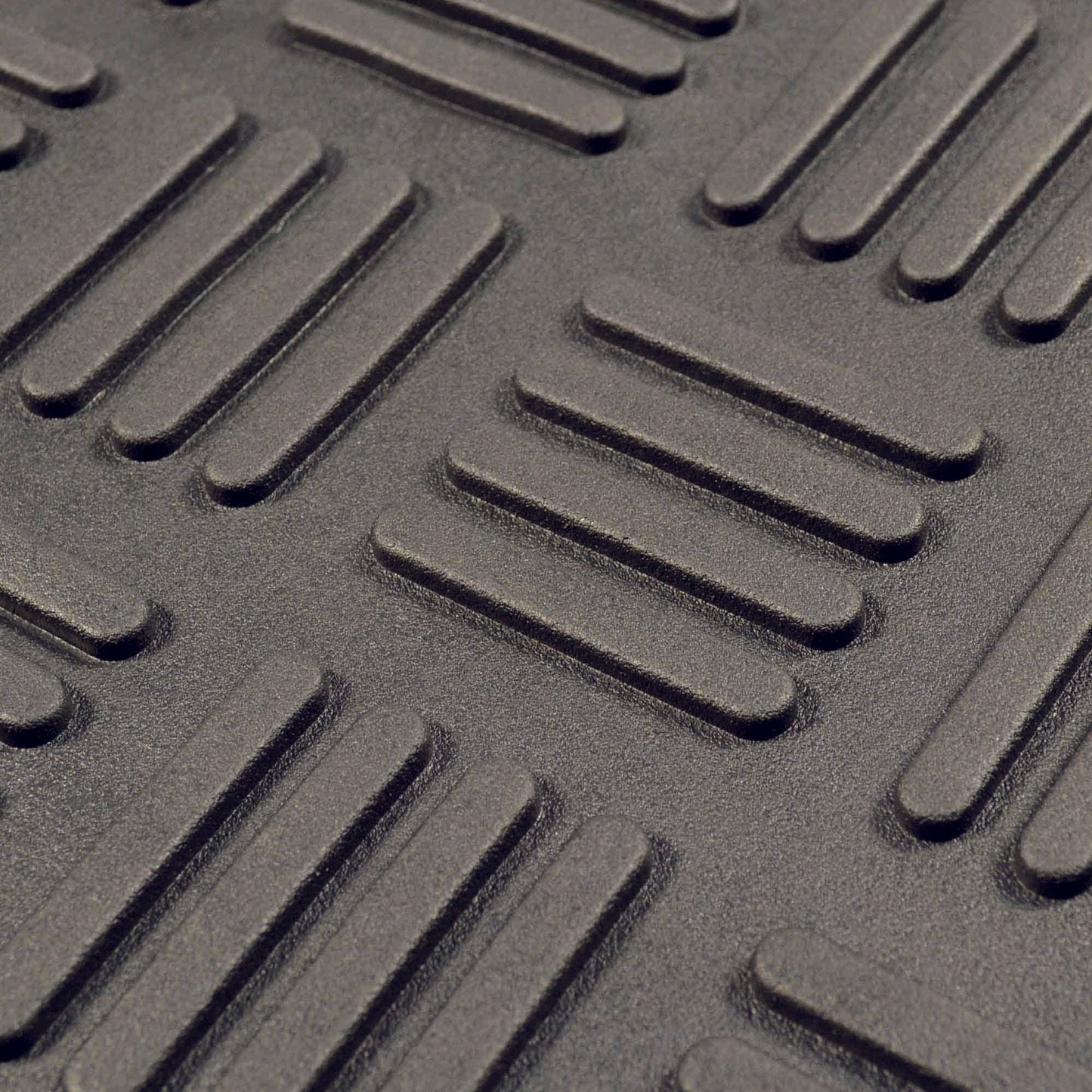 Wisconsin Door Mat 19.5"x31.25"