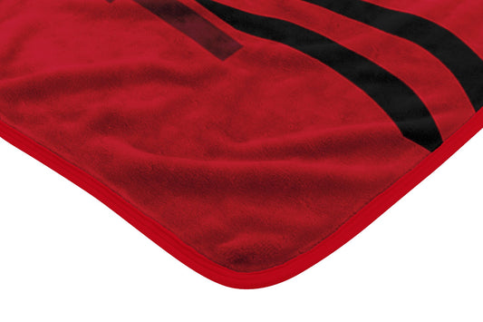TEXAS TECH OFFICIAL NCAA "Digitize" Raschel Throw Blanket; 60" x 80"